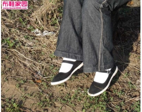  双鸥-桃花12P 