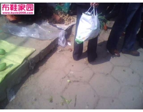  街拍布鞋19P 