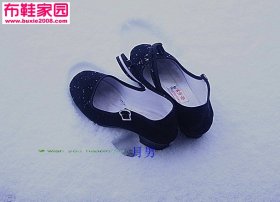  雪燕新年南方笫一场雪_雪燕伏在屋瓦上歌唱!19P 