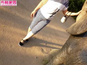  几张平底图5P 
