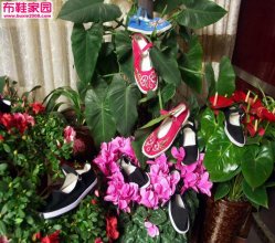  布鞋迎春16P 