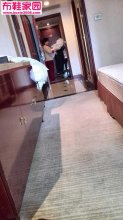  某酒店客房服务员8P 