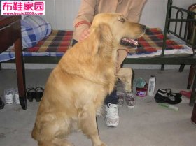  独家探访4P 